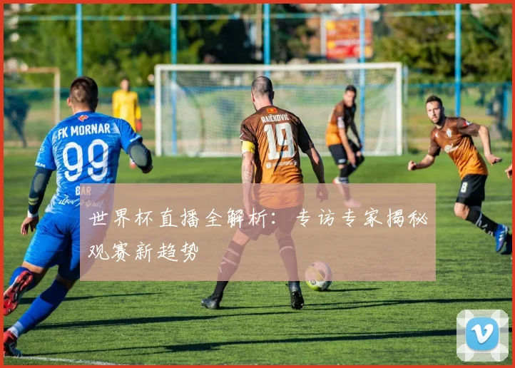 世界杯直播全解析：专访专家揭秘观赛新趋势