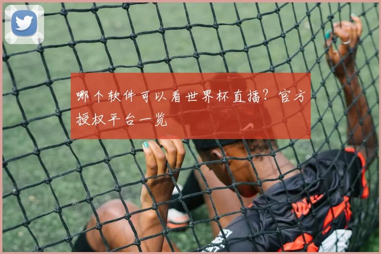 哪个软件可以看世界杯直播?官方授权平台一览
