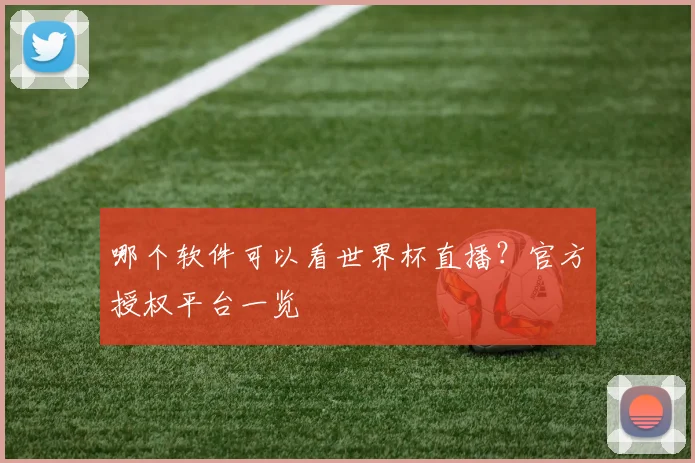 哪个软件可以看世界杯直播?官方授权平台一览