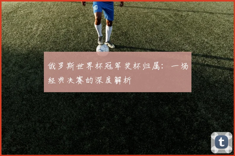 俄罗斯世界杯冠军奖杯归属：一场经典决赛的深度解析