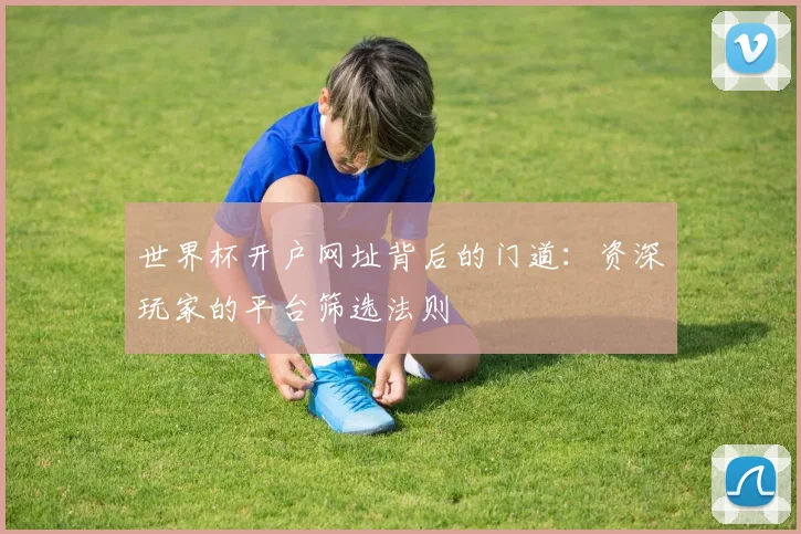 世界杯开户网址背后的门道：资深玩家的平台筛选法则