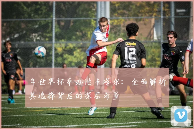 年世界杯举办地卡塔尔：全面解析其选择背后的深层考量