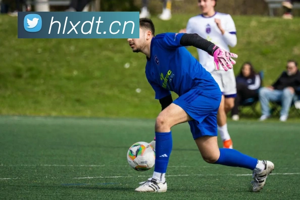 App Interface Preview